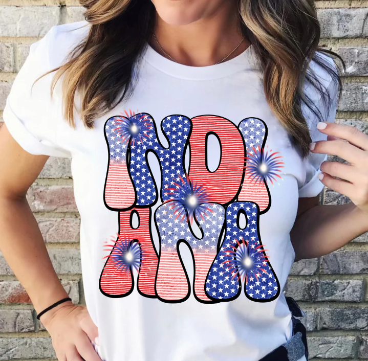 4th of July Indiana State T-Shirt