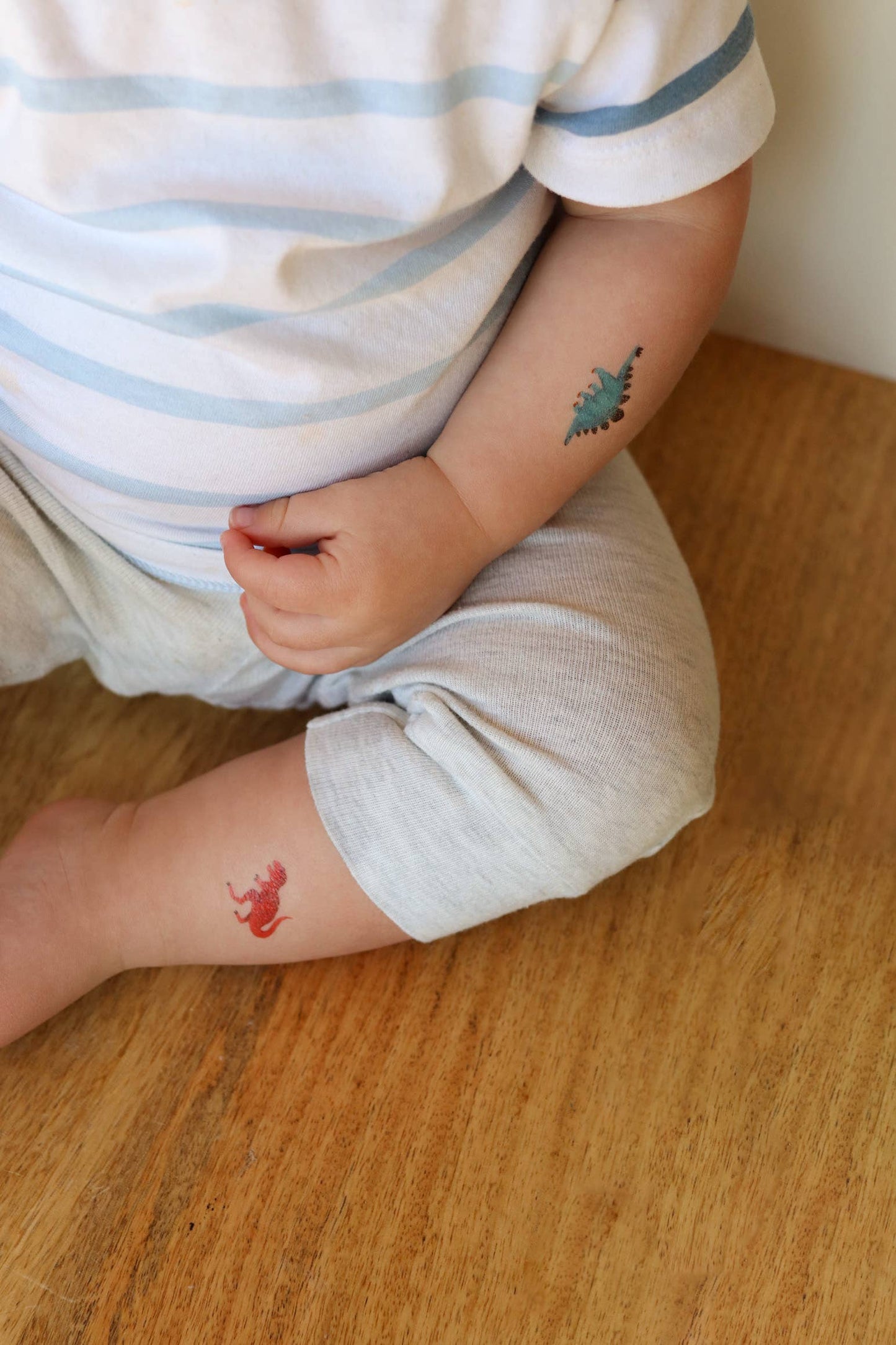Dinosaurs Temporary Tattoos
